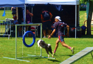 Obstáculos de agility para parques caninos