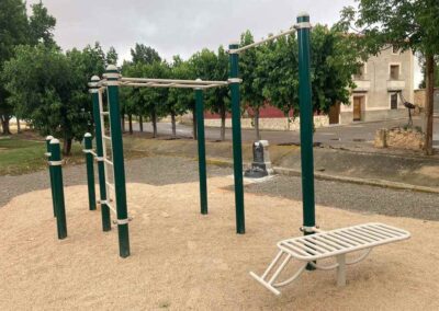 Custom DUCG-2001 calisthenics park with abs bench.