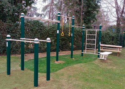 Calisthenics park, street workout 2008, customized with pull-up bars with rings.
